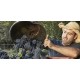Organic & Bio-Dynamic Rhône Wine Tour