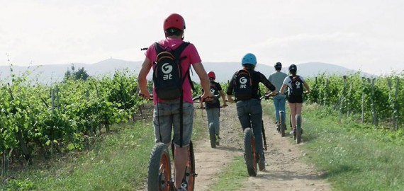 Trotti Bike dans les Vignes, Dégustation et Apéro Dinatoire